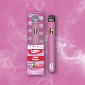 Breeze Canna Pink Burst